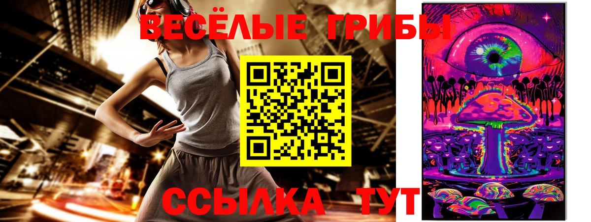 Новотроицк  Галлюциногенные грибы Psilocybine cubensis  Вход с VPN 